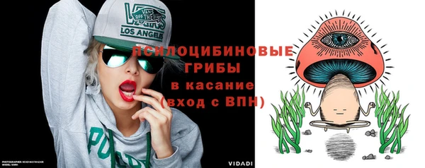 дживик Медногорск
