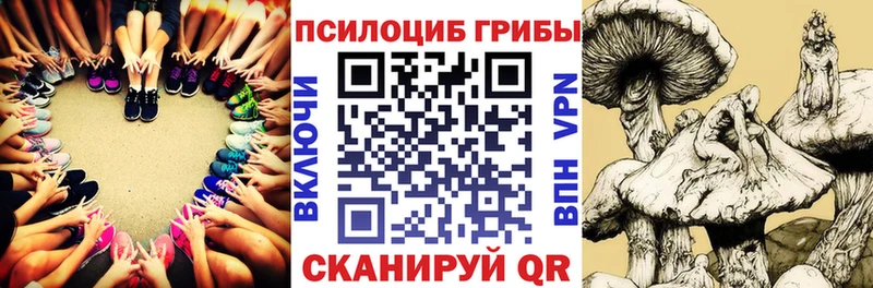 Галлюциногенные грибы MAGIC MUSHROOMS  нарко площадка наркотические препараты  Ясногорск  наркошоп 